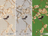 Chinoiserie Birds Floral Wall Mural, Green Flowers Blossom Wallpaper, Large, Oversized Elegant Custom Size Wall Art, Non-Woven, Non-Pasted, Modern - Adawall -Houston Wallpaper Store - Walcoverings, Curtains & Wall Panels
