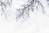 Large Blossom Tree Wallpaper, Blue Chinoiserie Nature Flowers Wall Mural, Custom Size Wall Covering, Non-Woven, Non-Pasted, Removable, Washable, Floral Art - Adawall -Houston Wallpaper Store - Walcoverings, Curtains & Wall Panels