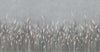 Swaying Wheat Field Wall Mural, Gray Blue Windy Wheat Wallpaper, Large Nature Custom Size Wall Covering, Non-Woven, Non-Pasted, Removable, Washable - Adawall -Houston Wallpaper Store - Walcoverings, Curtains & Wall Panels