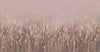 Swaying Wheat Field Wall Mural, Light Purple Windy Wheat Wallpaper, Large Nature Custom Size Wall Covering, Non-Woven, Non-Pasted, Removable, Washable - Adawall -Houston Wallpaper Store - Walcoverings, Curtains & Wall Panels