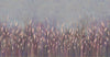 Swaying Wheat Field Wall Mural, Purple Windy Wheat Wallpaper, Large Nature Custom Size Wall Covering, Non-Woven, Non-Pasted, Removable, Washable - Adawall -Houston Wallpaper Store - Walcoverings, Curtains & Wall Panels