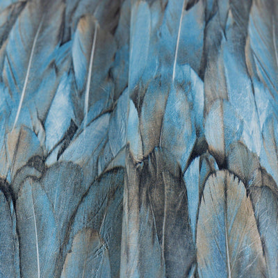 Blue Feathers Pattern Embossed Wallpaper, Tropical 3D Textured Birds Wallcovering - Adawall -Houston Wallpaper Store - Walcoverings, Curtains & Wall Panels