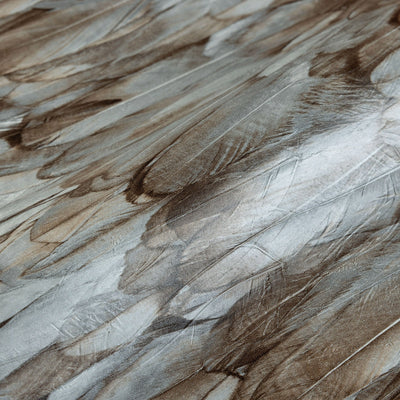 Exotic Feathers Pattern Embossed Wallpaper, Brown Neutral Tropical 3D Textured Birds Wallcovering - Adawall -Houston Wallpaper Store - Walcoverings, Curtains & Wall Panels