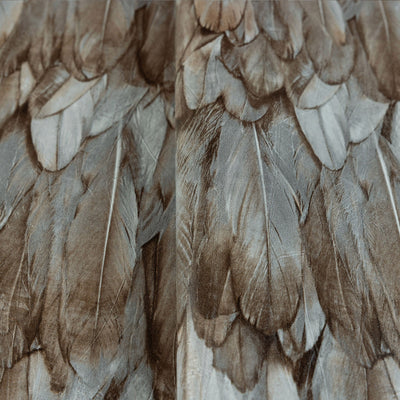 Exotic Feathers Pattern Embossed Wallpaper, Brown Neutral Tropical 3D Textured Birds Wallcovering - Adawall -Houston Wallpaper Store - Walcoverings, Curtains & Wall Panels