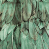 Green Feathers Pattern Embossed Wallpaper, Tropical 3D Textured Birds Vivid Wallcovering - Adawall -Houston Wallpaper Store - Walcoverings, Curtains & Wall Panels