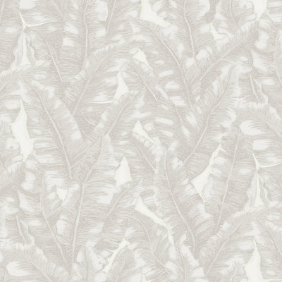 Luxury Leaf Pattern Wallpaper, Cream Embossed Botanical Tropical Exotic Wallcovering, Plants Tropical Design - Adawall -Houston Wallpaper Store - Walcoverings, Curtains & Wall Panels