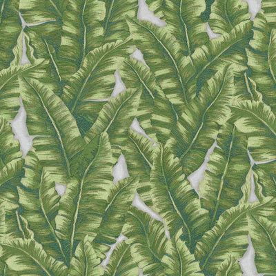 Luxury Leaf Pattern Wallpaper, Green Embossed Botanical Tropical Exotic Wallcovering, Plants Tropical Design - Adawall -Houston Wallpaper Store - Walcoverings, Curtains & Wall Panels