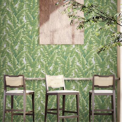 Luxury Leaf Pattern Wallpaper, Green Embossed Botanical Tropical Exotic Wallcovering, Plants Tropical Design - Adawall -Houston Wallpaper Store - Walcoverings, Curtains & Wall Panels